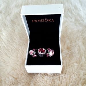 Pandora Charms